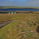 kilkee cliff walk