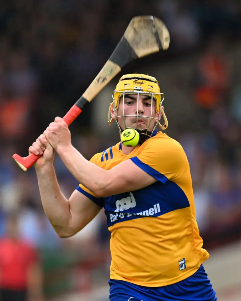 Rodgers named young hurler of the year - Clare Echo