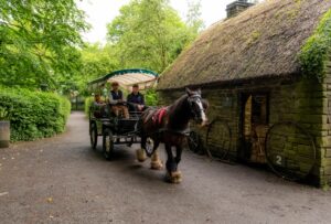 bunratty jaunting car 1-2