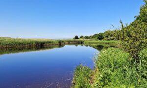 Inagh River - Mal Bay Catchment (Ruairí Ó Conchúir) - Image No 3-2