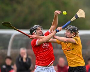 éire óg v clonlara 25-08-24 niall mcmahon diarmuid stritch 2