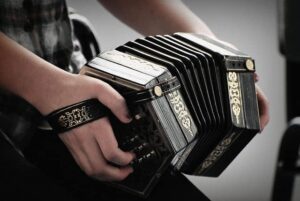 concertina 1