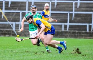 clare v limerick 02-03-25 tony kelly eddie stokes 1