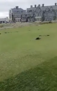 trump doonbeg 1